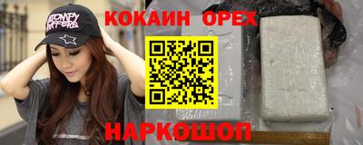 сатива Гай