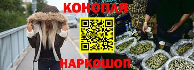 сатива Гай