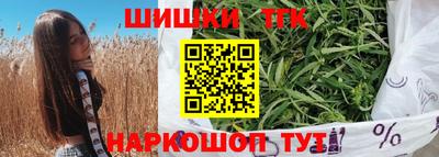 сатива Гай