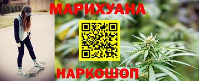 сатива Гай