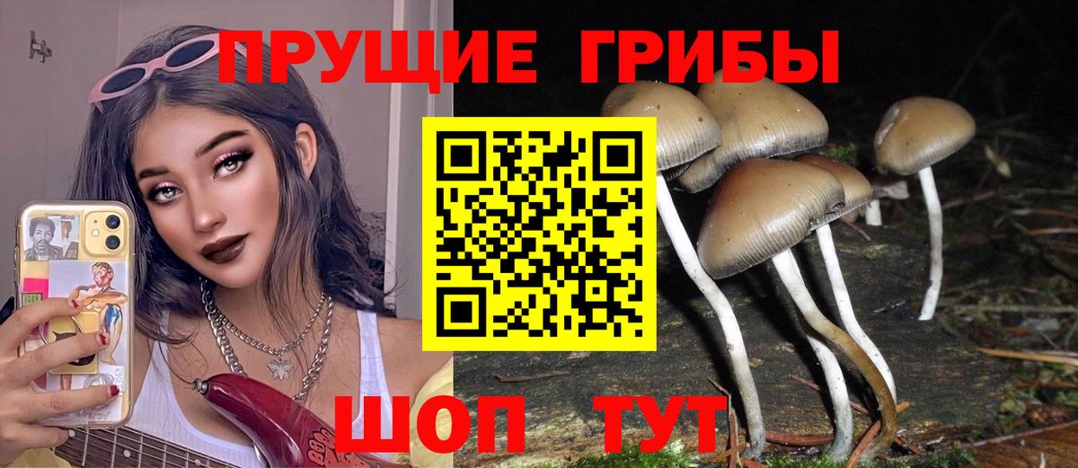 закладка  Вход с VPN  Североморск  Галлюциногенные грибы Magic Shrooms 